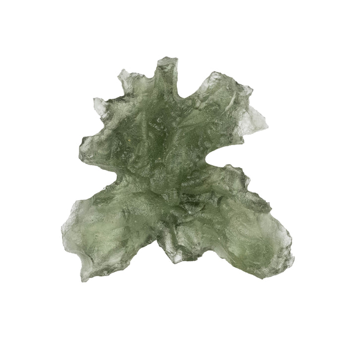 Moldavite Besednice Jezkovna AA 1.10 g 19x18x6mm