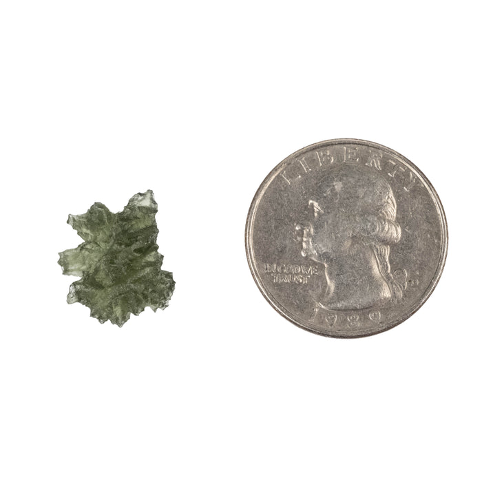 Moldavite Besednice Jezkovna AA 1.02 g 14x13x8mm