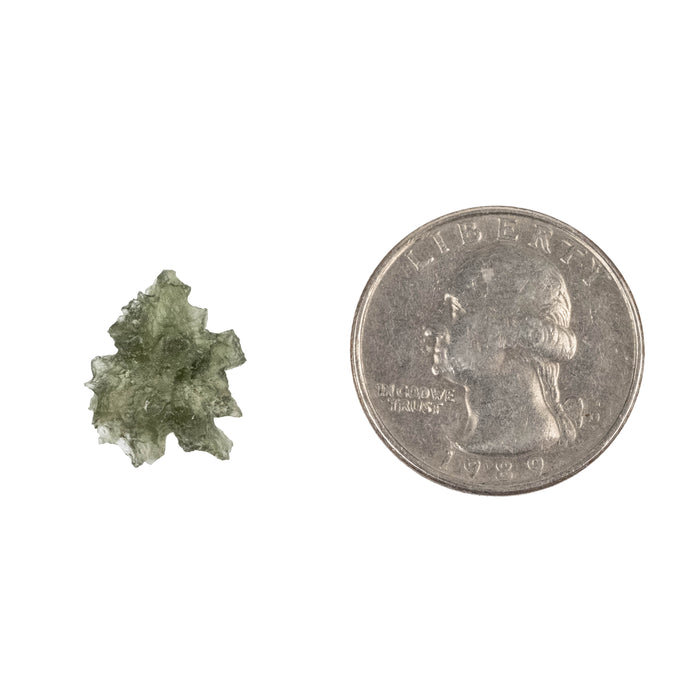 Moldavite Besednice Jezkovna AA 0.75 g 16x12x6mm