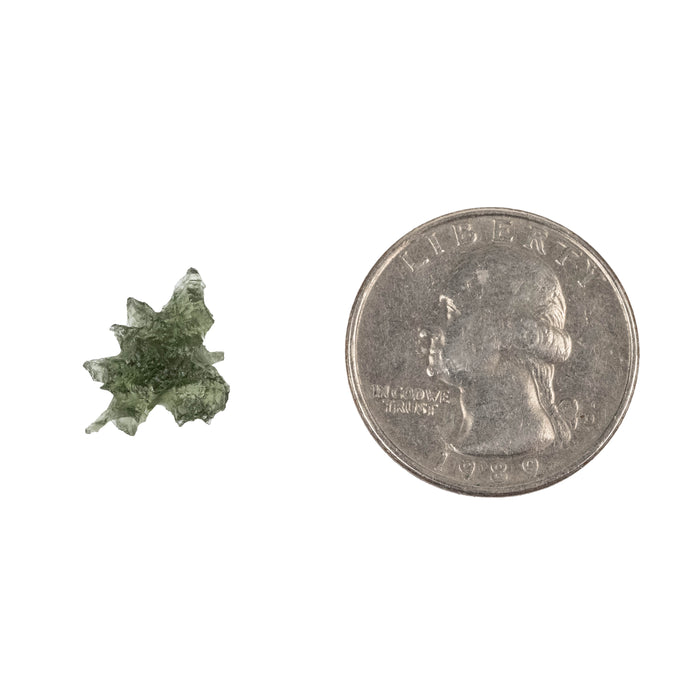 Moldavite Besednice Jezkovna AA 0.70 g 15x11x8mm