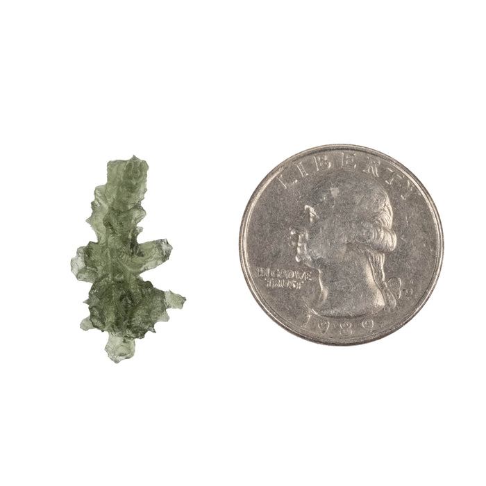 Moldavite Besednice Jezkovna AA 1.10 g 24x13x7mm