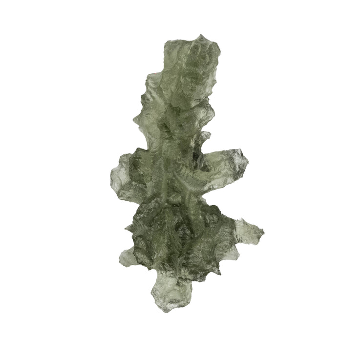 Moldavite Besednice Jezkovna AA 1.10 g 24x13x7mm