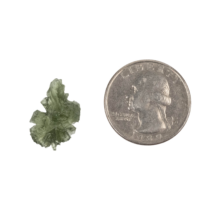 Moldavite Besednice Jezkovna AA 1.13 g 19x12x6mm
