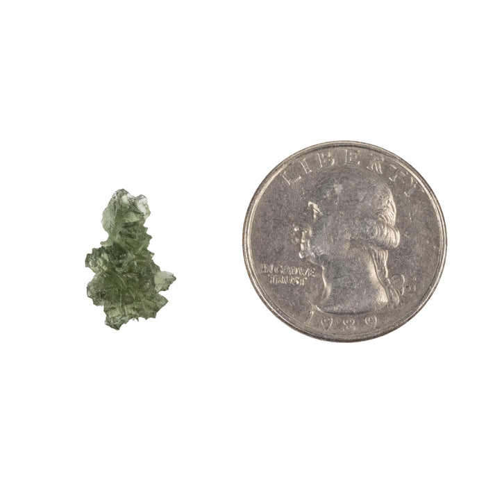 Moldavite Besednice Jezkovna AA 0.83 g 14x10x8mm