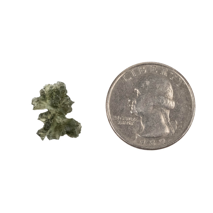 Moldavite Besednice Jezkovna AA 0.83 g 16x12x8mm