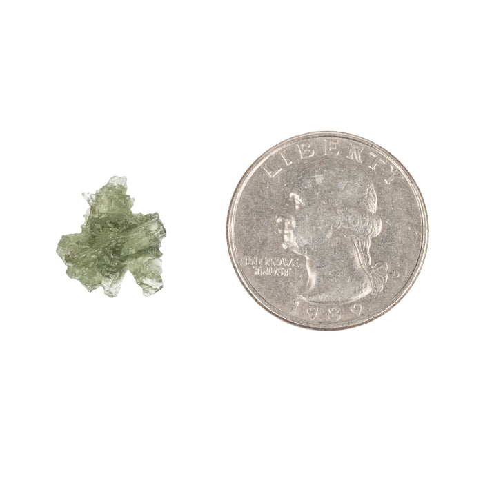 Moldavite Besednice Jezkovna AA 0.77 g 13x13x9mm