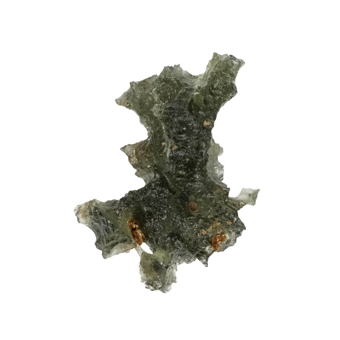 Moldavite Besednice Jezkovna AA 1.69 g 20x14x11mm