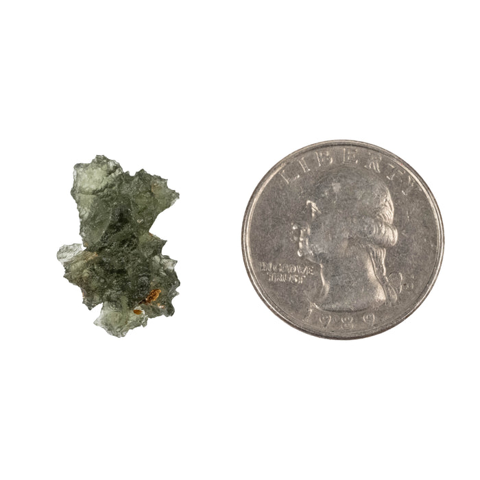 Moldavite Besednice Jezkovna AA 1.69 g 20x14x11mm