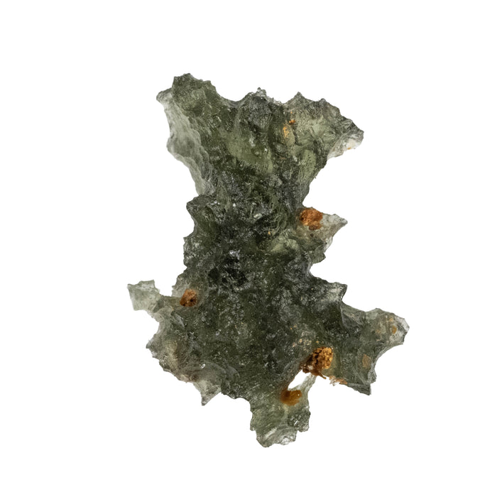 Moldavite Besednice Jezkovna AA 1.69 g 20x14x11mm