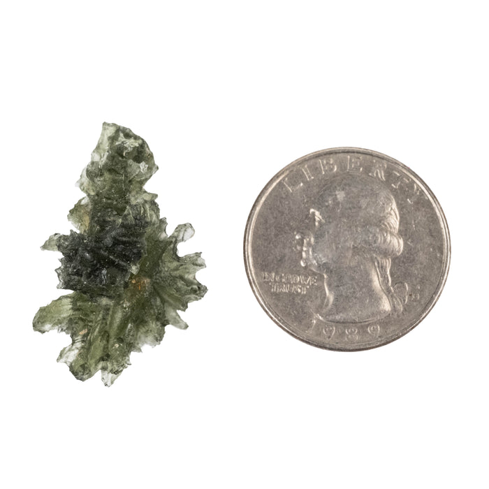 Moldavite Besednice Jezkovna AA 3.01 g 30x18x13mm