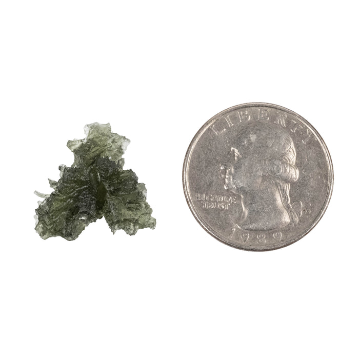 Moldavite Besednice Jezkovna AA 1.92 g 21x18x8mm