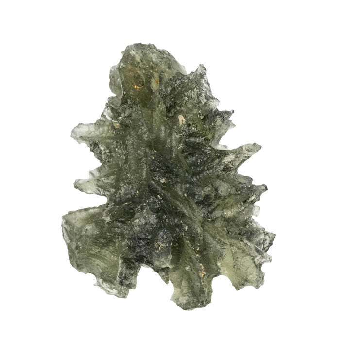 Moldavite Besednice Jezkovna AA 1.79 g 20x17x10mm
