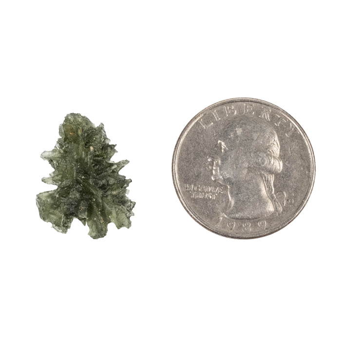Moldavite Besednice Jezkovna AA 1.79 g 20x17x10mm