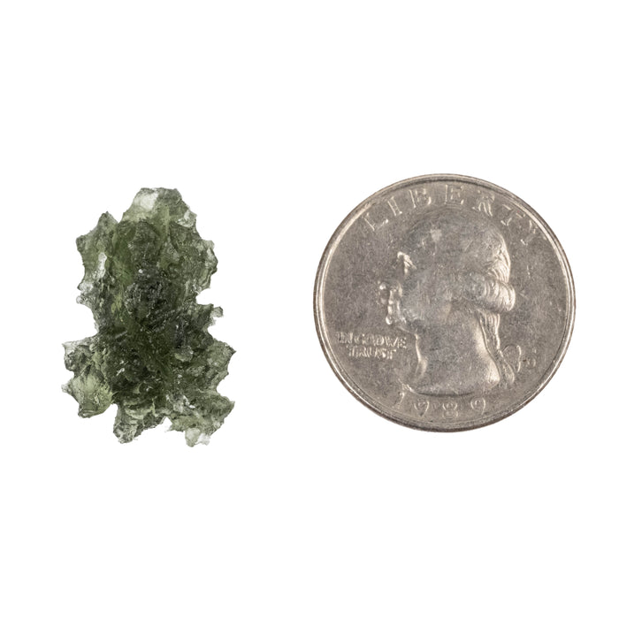 Moldavite Besednice Jezkovna AA 2.87 g 23x15x13mm