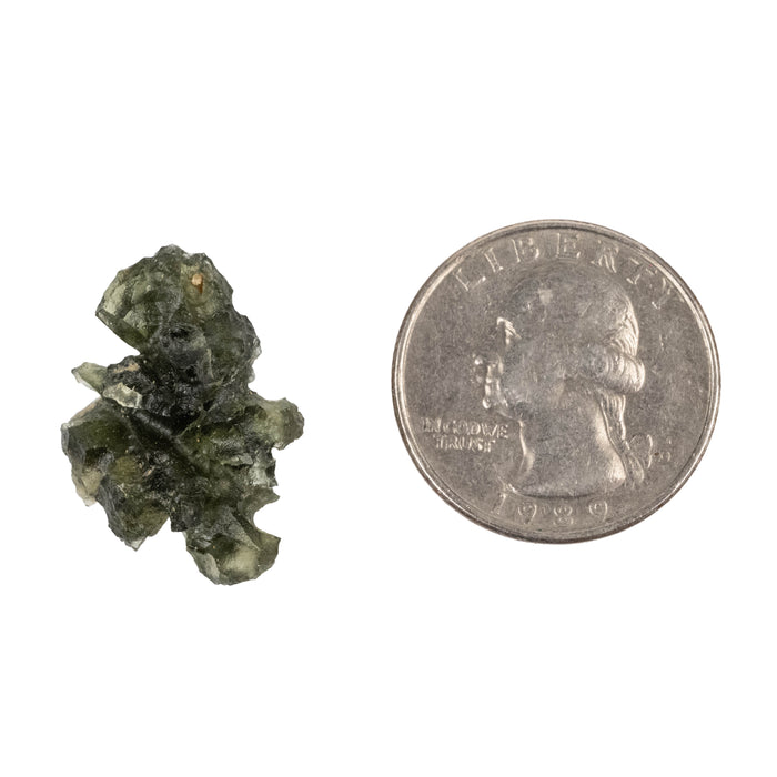 Moldavite Besednice Jezkovna AA 2.67 g 24x18x12mm