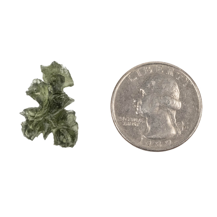 Moldavite Besednice Jezkovna AA 1.88 g 22x15x10mm
