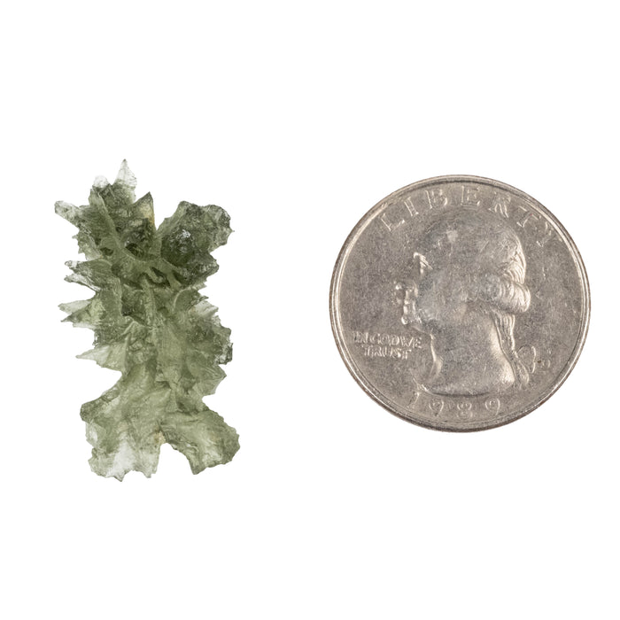 Moldavite Besednice Jezkovna AA 2.33 g 29x15x12mm