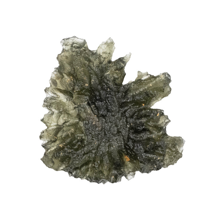 Moldavite Besednice Jezkovna AA 3.03 g 25x24x8mm