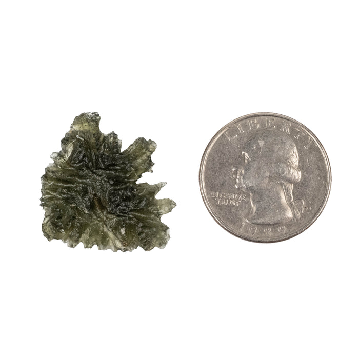 Moldavite Besednice Jezkovna AA 3.03 g 25x24x8mm