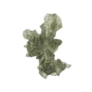 Moldavite Besednice Jezkovna AA 1.12 g 21x13x8mm - InnerVision Crystals