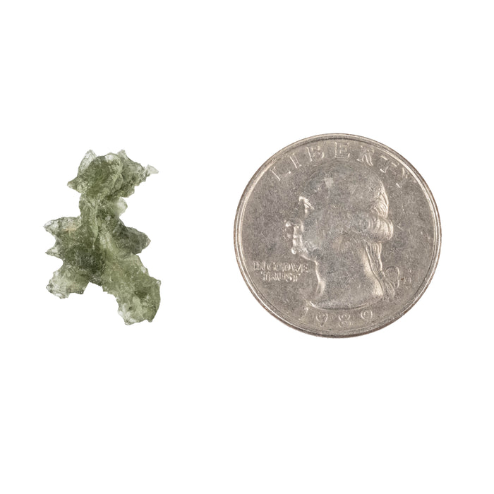 Moldavite Besednice Jezkovna AA 1.12 g 21x13x8mm