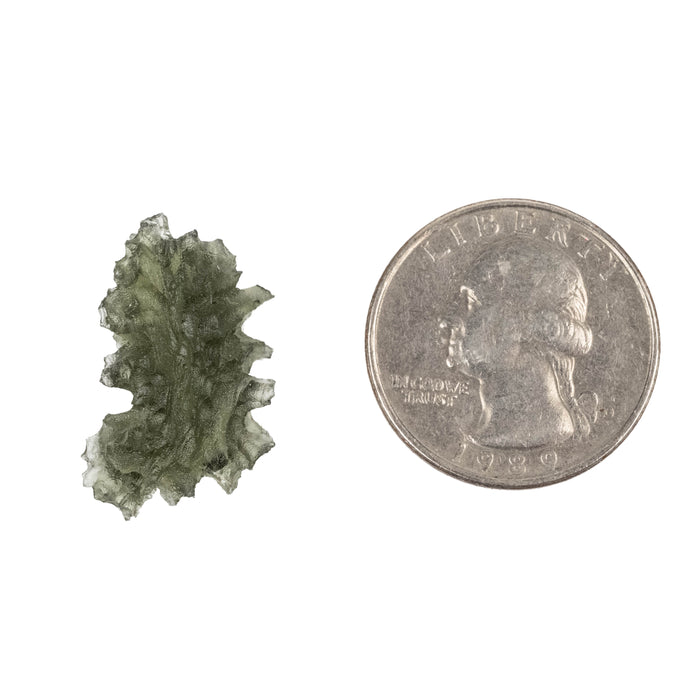 Moldavite Besednice Jezkovna AA 2.40 g 23x15x8mm