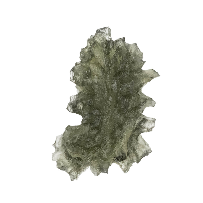 Moldavite Besednice Jezkovna AA 2.40 g 23x15x8mm