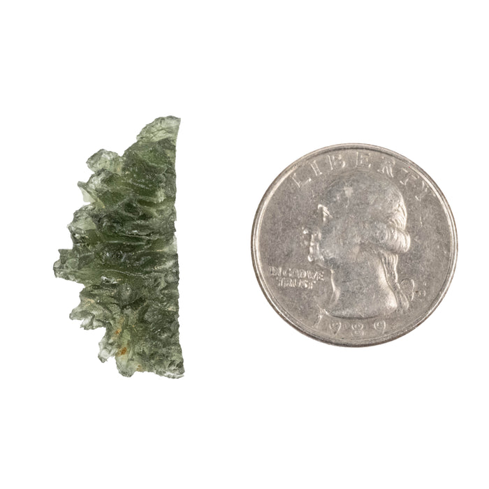 Moldavite Besednice Jezkovna AA 3.75 g 29x14x12mm