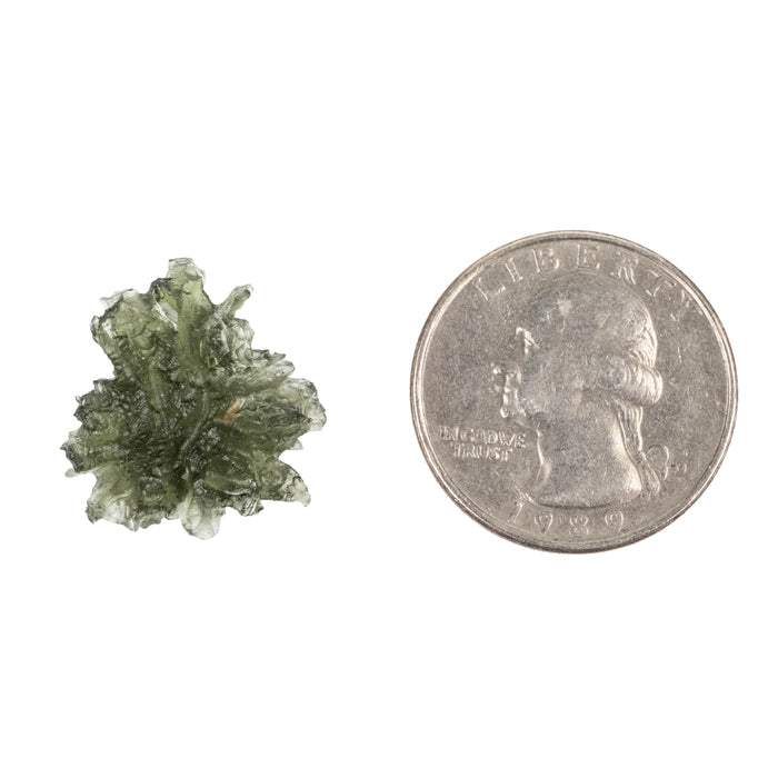 Moldavite Besednice Jezkovna AA 2.09 g 20x18x8mm