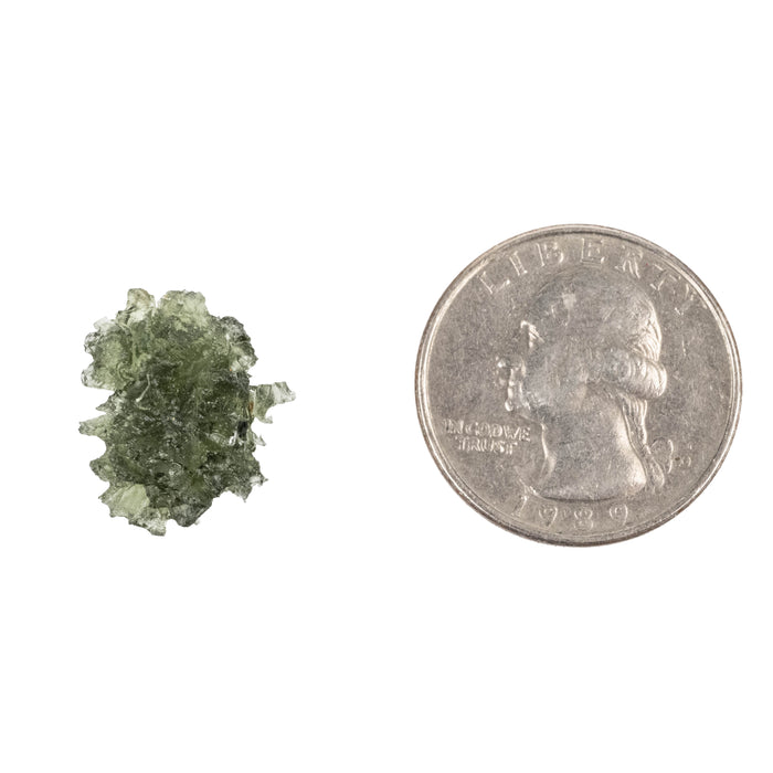 Moldavite Besednice Jezkovna AA 1.94 g 17x14x11mm