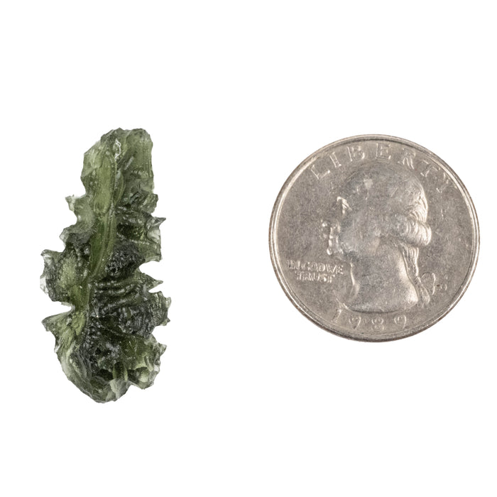 Moldavite Besednice Jezkovna AA 3.52 g 31x14x10mm