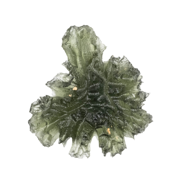 Moldavite Besednice Jezkovna AA 3.55 g 26x24x9mm