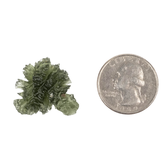 Moldavite Besednice Jezkovna AA 3.55 g 26x24x9mm