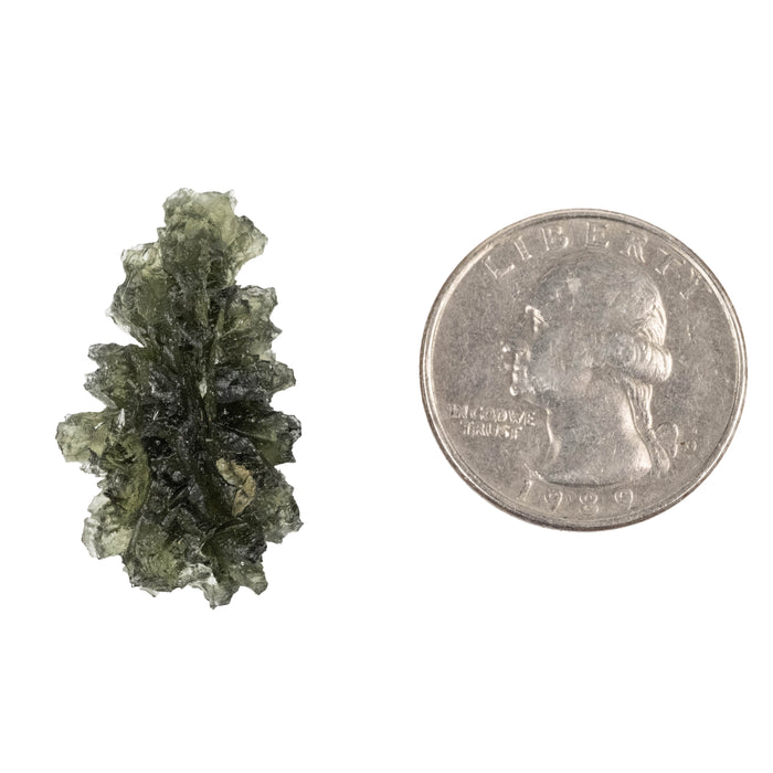Moldavite Besednice Jezkovna AA 4.24 g 29x18x13mm