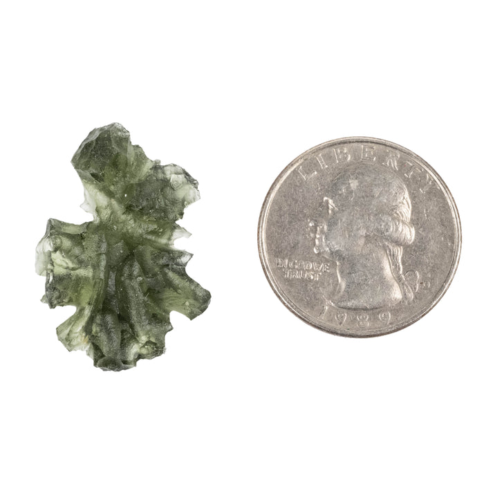 Moldavite Besednice Jezkovna AA 3.26 g 28x19x8mm