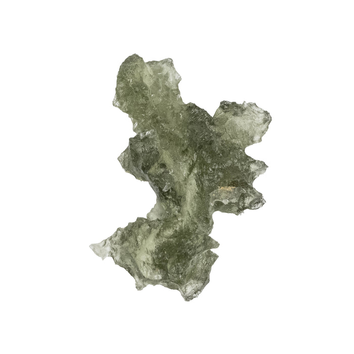 Moldavite Besednice Jezkovna AA 1.12 g 21x13x8mm