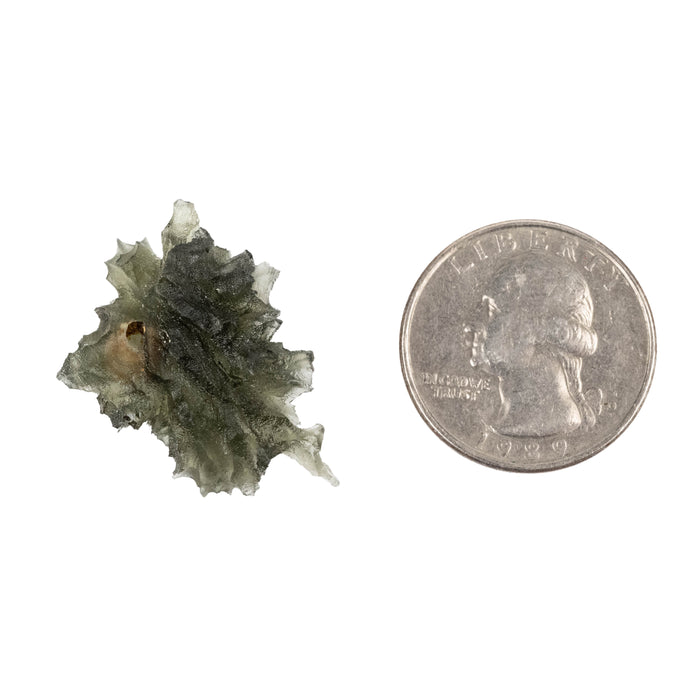Moldavite Besednice Jezkovna AA 4.48 g 28x21x14mm
