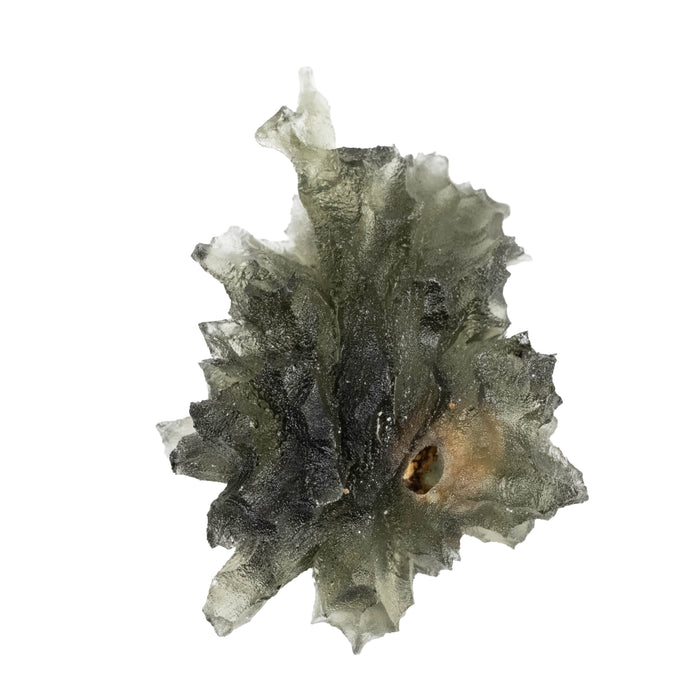 Moldavite Besednice Jezkovna AA 4.48 g 28x21x14mm