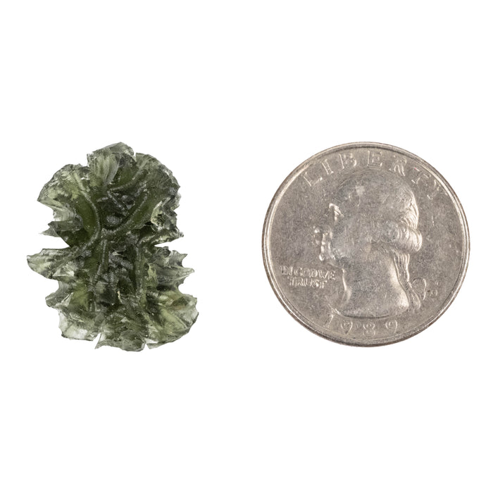 Moldavite Besednice Jezkovna AA 3.44 g 23x18x11mm