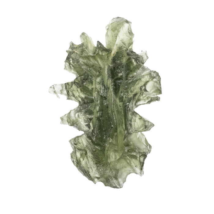 Moldavite Besednice Jezkovna AA 2.55 g 26x17x11mm