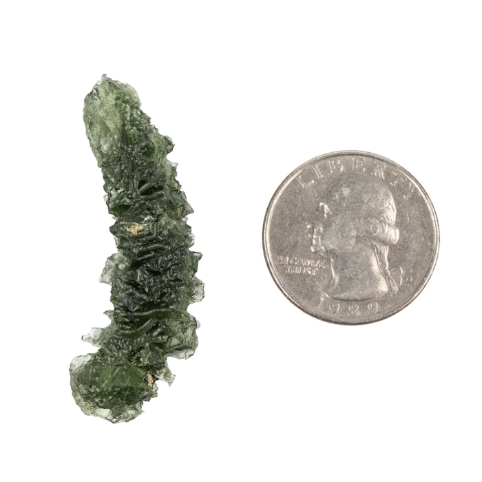 Moldavite Besednice Jezkovna AA 7.22 g 46x14x16mm