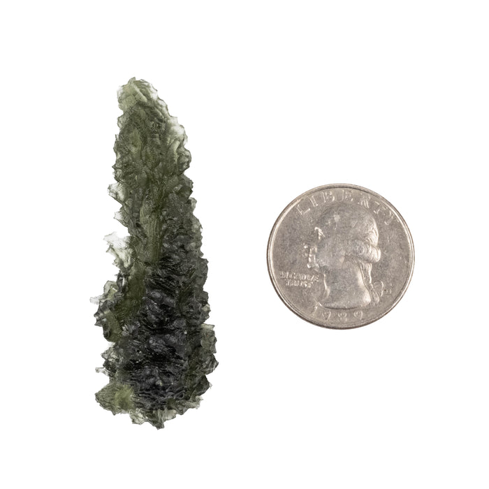 Moldavite Besednice Jezkovna AA 12.83 g 56x19x19mm