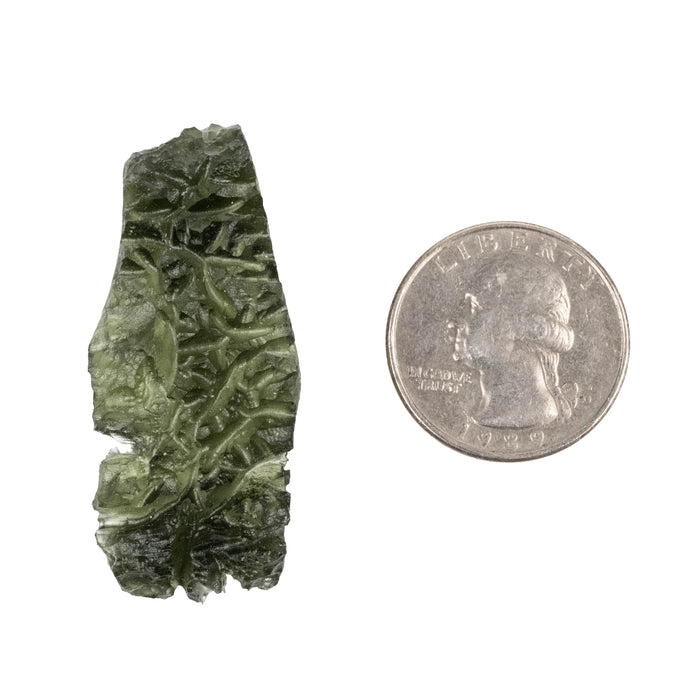 Moldavite Besednice Jezkovna AA 9.31 g 47x20x12mm