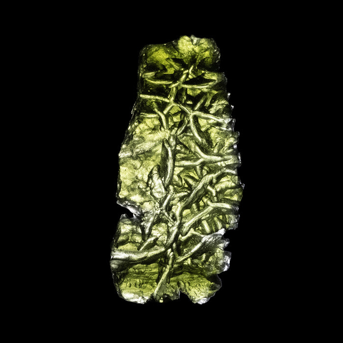 Moldavite Besednice Jezkovna AA 9.31 g 47x20x12mm