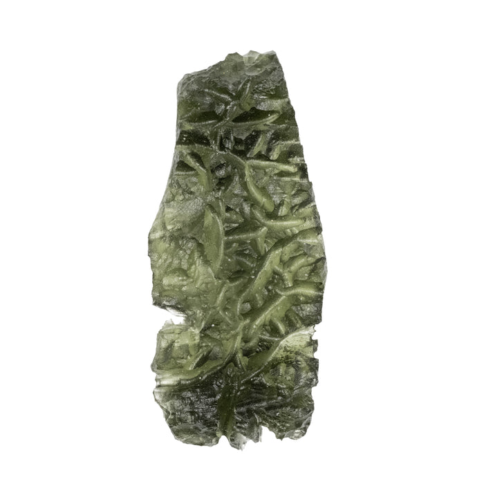 Moldavite Besednice Jezkovna AA 9.31 g 47x20x12mm