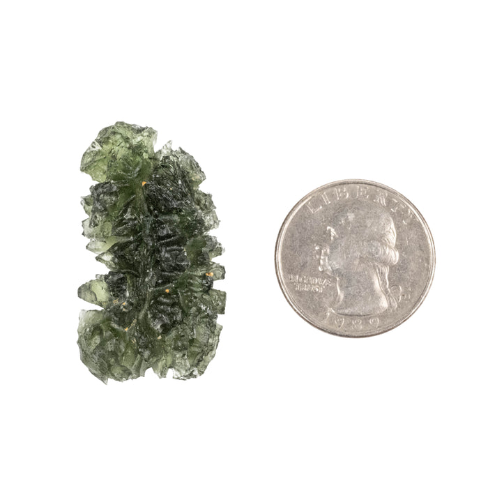 Moldavite Besednice Jezkovna AA 10.36 g 38x21x17mm