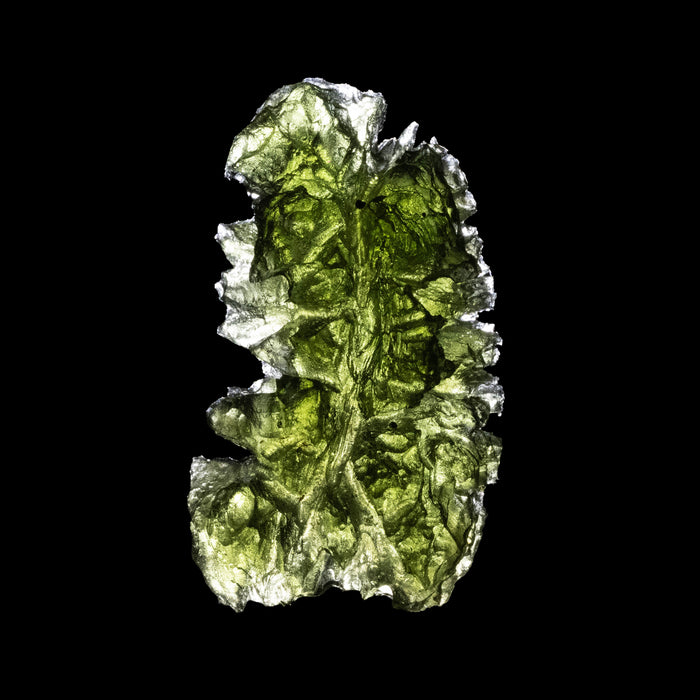 Moldavite Besednice Jezkovna AA 10.36 g 38x21x17mm