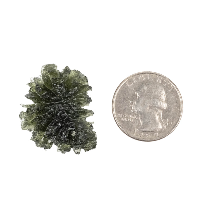 Moldavite Besednice Jezkovna AA 7.46 g 29x26x12mm