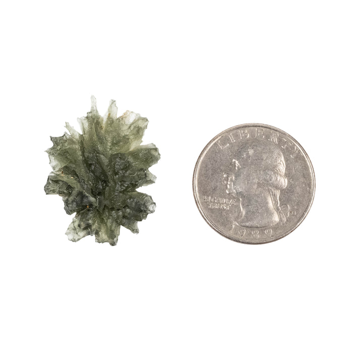 Moldavite Besednice Jezkovna AA 3.79 g 29x22x10mm