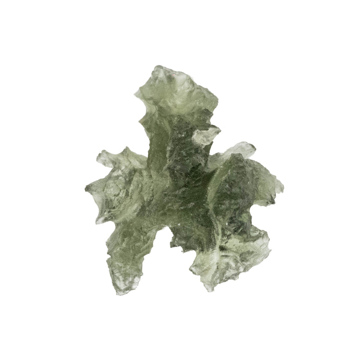 Moldavite Besednice Jezkovna AA 1.25 g 19x14x10mm